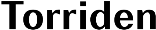 11 Torriden logo