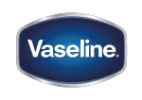 17 vaseline logo